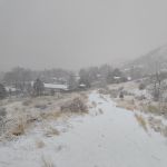 IMG 00067
