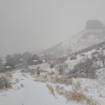 IMG 00068