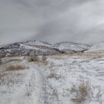 IMG 00080