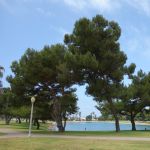DSC00755