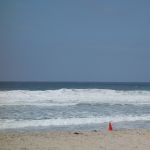 DSC00780