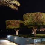 DSC02206