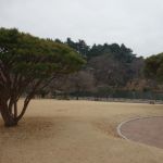 DSC05179