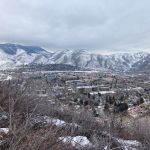 IMG 0442
