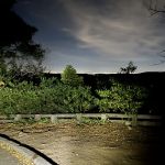 IMG 0900