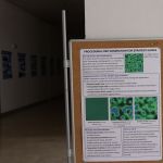 IMG 0692