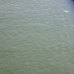 picture012