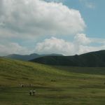 dsc 0625