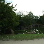 IMG 0111