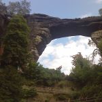 2010-06-22-130