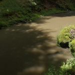 IMG 6708RAW s