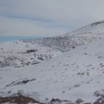 IMG 00105