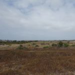 DSC00719