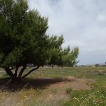 DSC00723