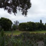 DSC00729