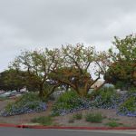 DSC00739