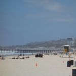DSC00781