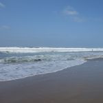 DSC00783