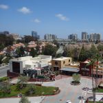 DSC00819