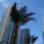 DSC00826