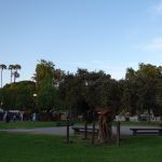 DSC01052