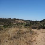 DSC01094