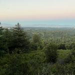 IMG 0717